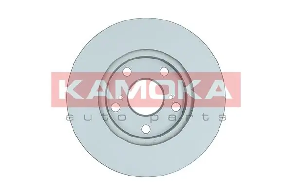 Brake Disc 1031037