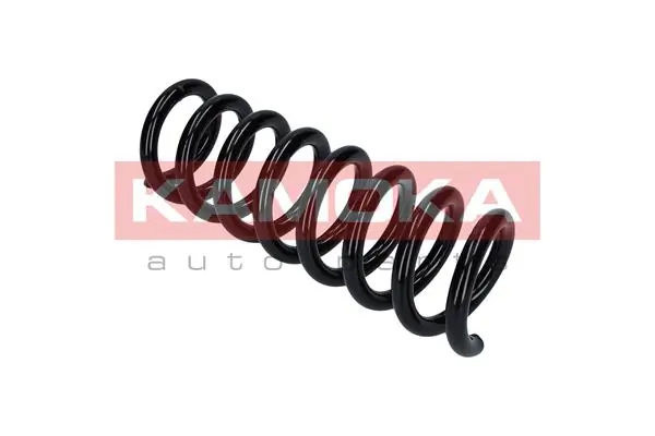 Suspension Spring 2120281