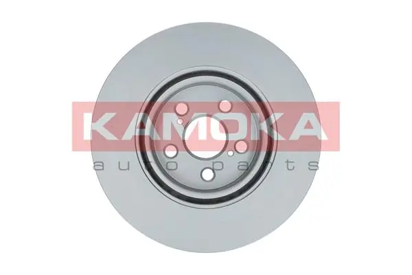 Brake Disc 1031116