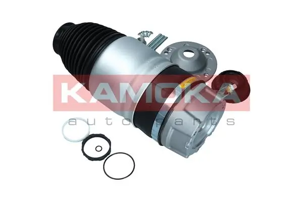 Air Spring, suspension 2079060