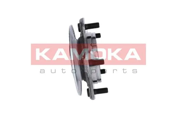 Wheel Bearing Kit 5500050