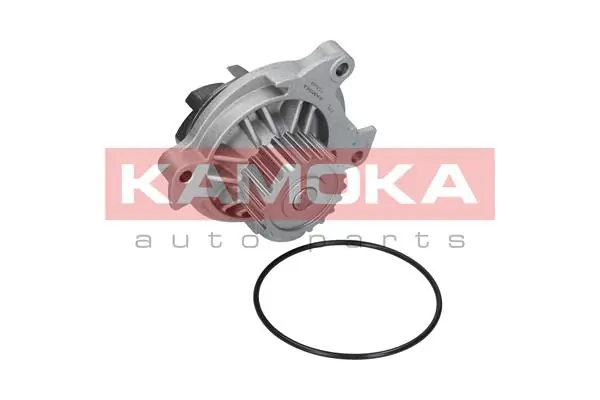 Water Pump, engine cooling T0042