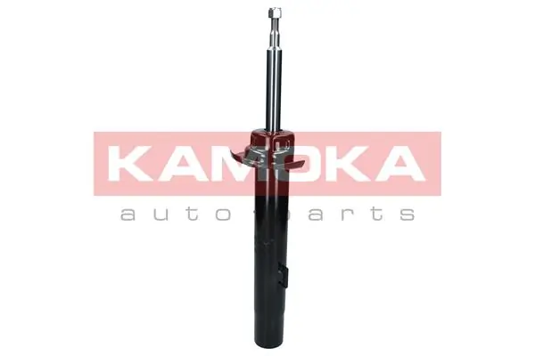Shock Absorber 2000296