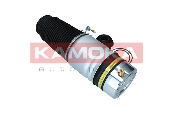 Air Spring, suspension 2079009