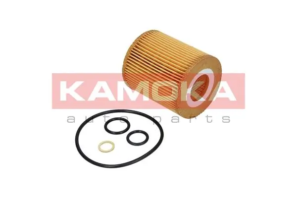 Oil Filter F109501