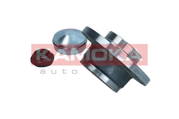 Wheel Bearing Kit 5500029