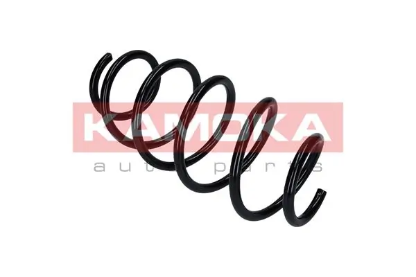 Suspension Spring 2110355