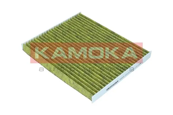 Filter, cabin air 6080099