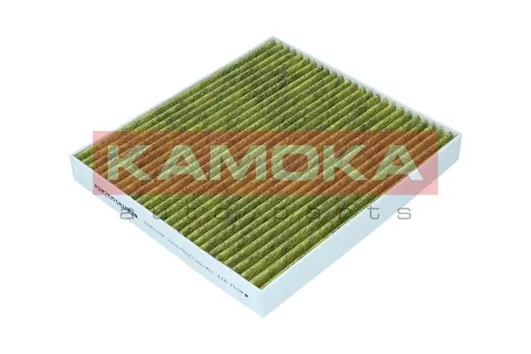 Filter, cabin air 6080034