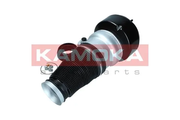 Air Spring, suspension 2079052