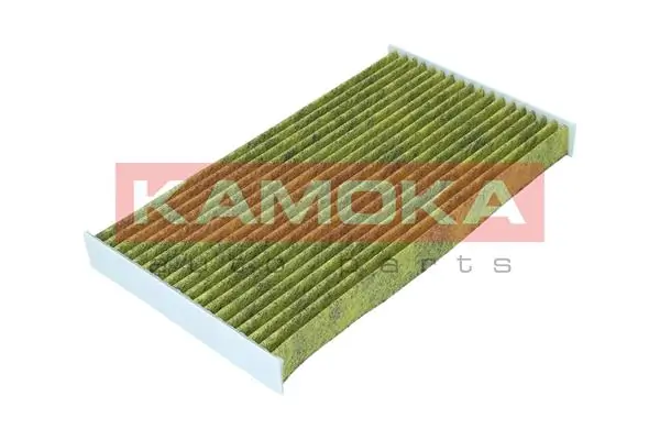 Filter, cabin air 6080155