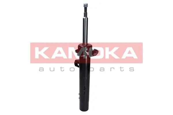 Shock Absorber 2000295