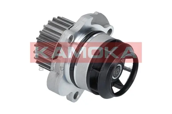 Water Pump, engine cooling T0022