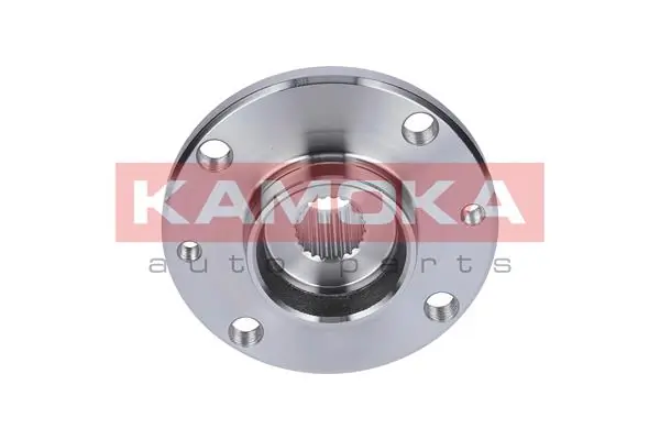 Wheel Hub 5500107