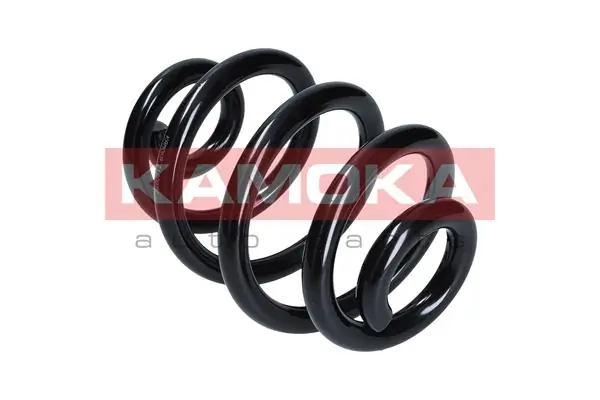 Suspension Spring 2120076