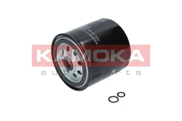 Fuel Filter F300601