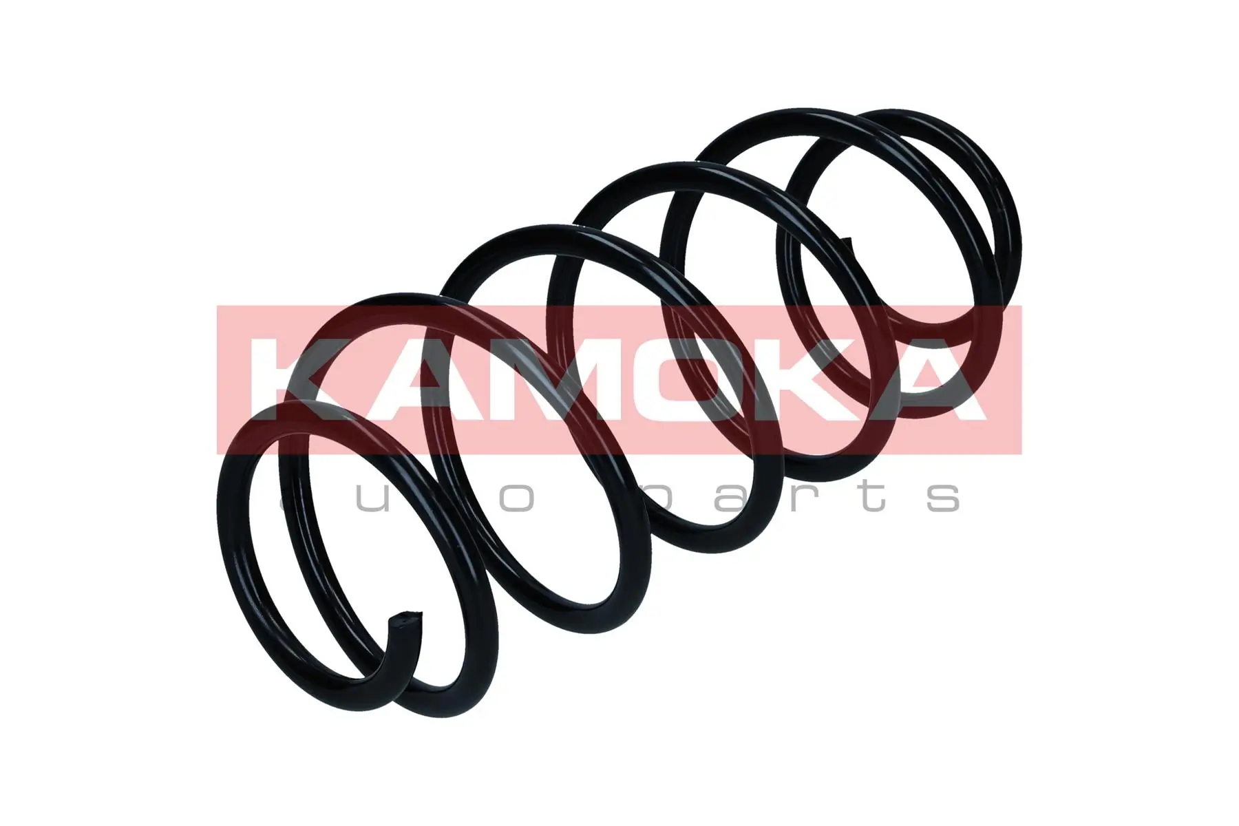 Suspension Spring 2110718