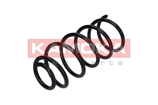 Suspension Spring 2110060