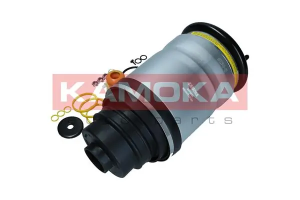 Air Spring, suspension 2079030
