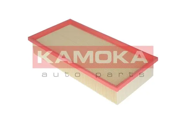 Air Filter F208001