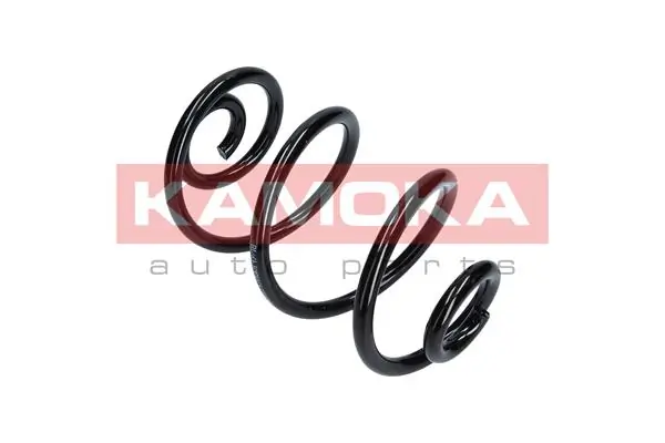 Suspension Spring 2120113