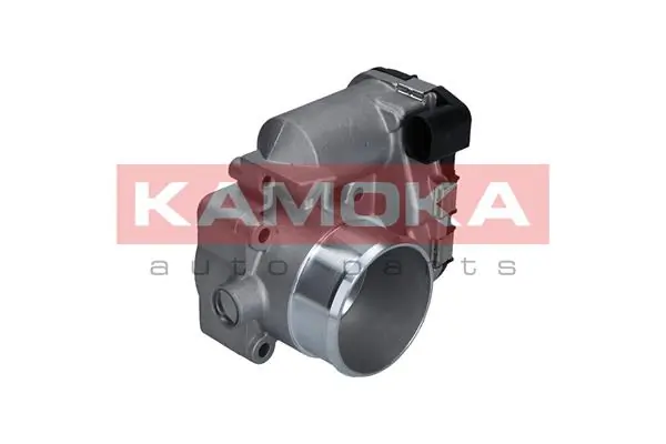 Throttle Body 112009