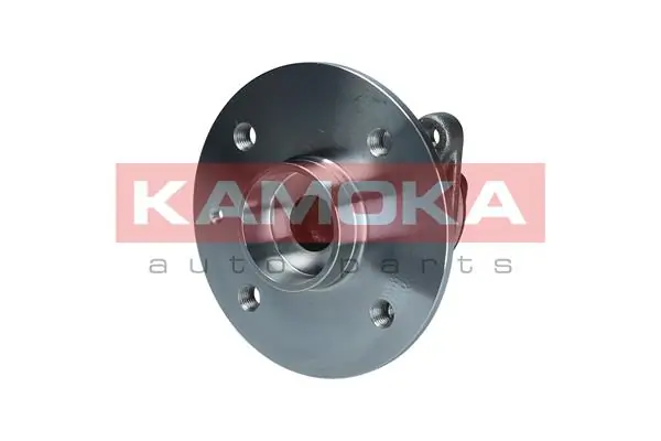 Wheel Bearing Kit 5500208