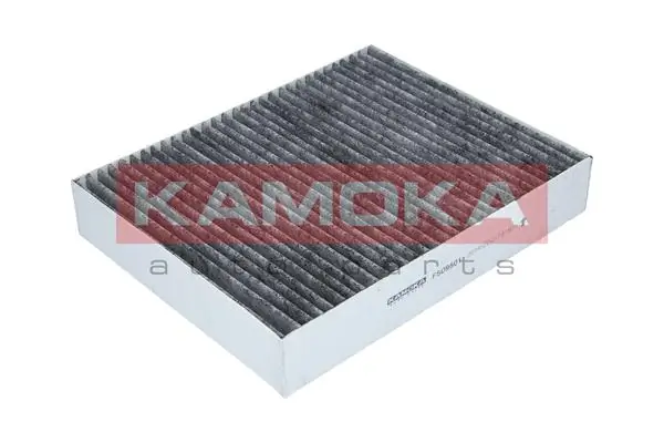 Filter, cabin air F509501