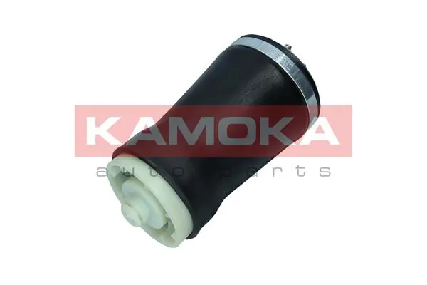 Air Spring, suspension 2079005