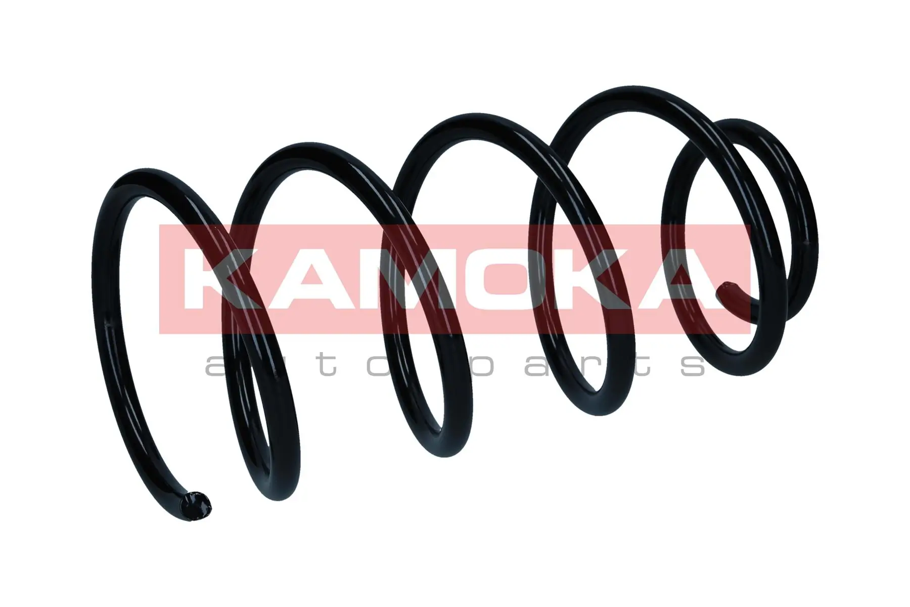 Suspension Spring 2110868