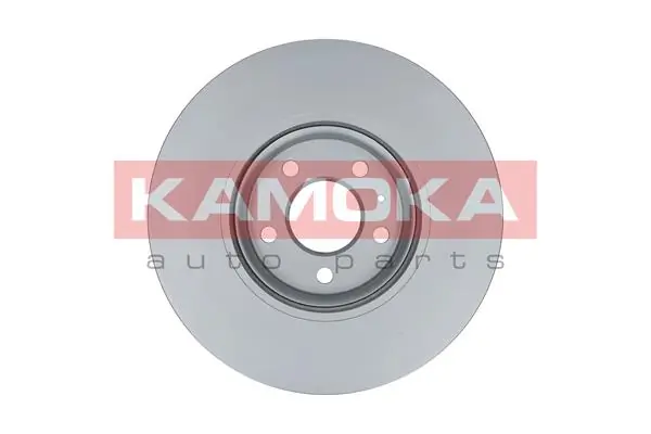 Brake Disc 103309