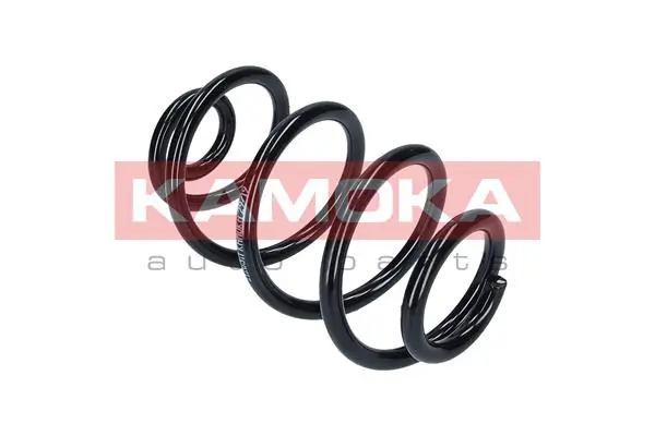 Suspension Spring 2120311