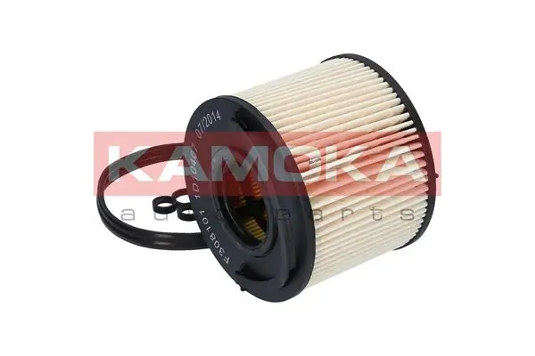 Fuel Filter F308101