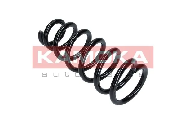 Suspension Spring 2120229