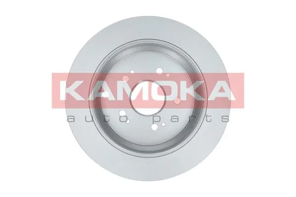 Brake Disc 1031029