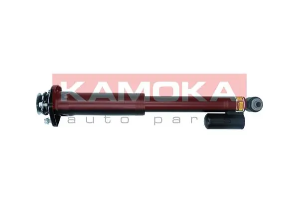 Air Suspension Strut 2070023