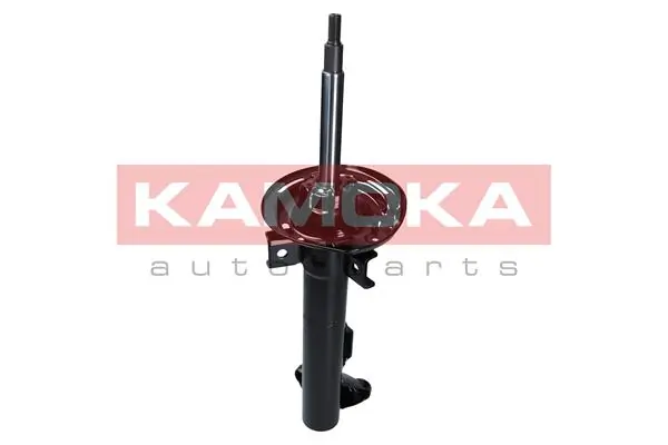 Shock Absorber 2000071