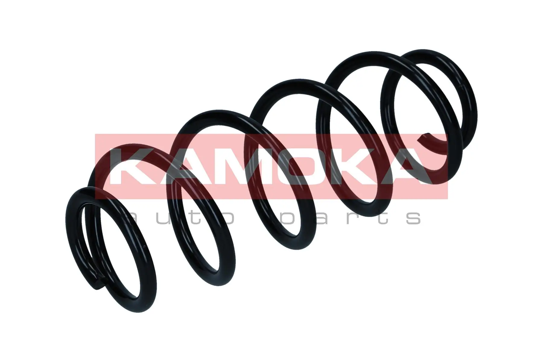 Suspension Spring 2120554