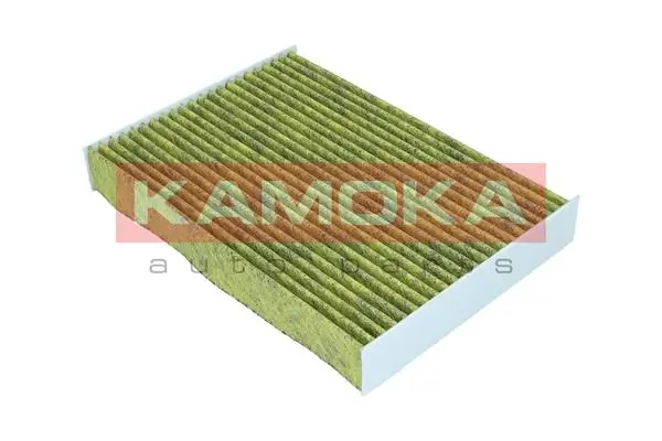 Filter, cabin air 6080125