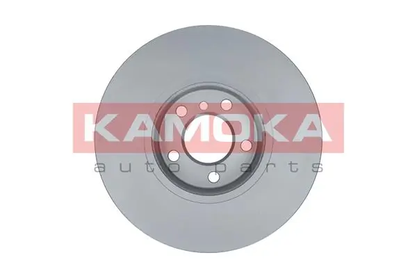 Brake Disc 103301