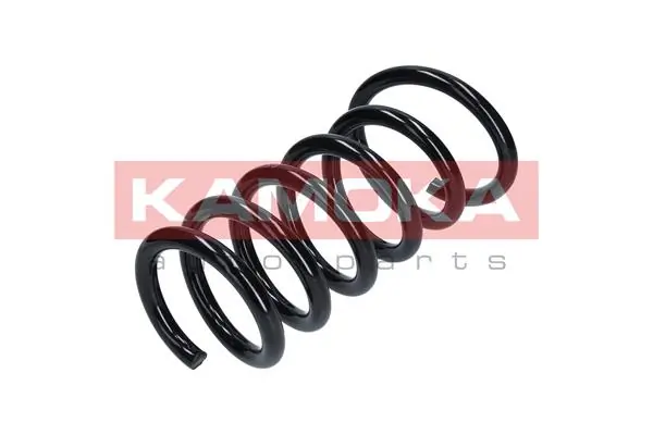 Suspension Spring 2120273