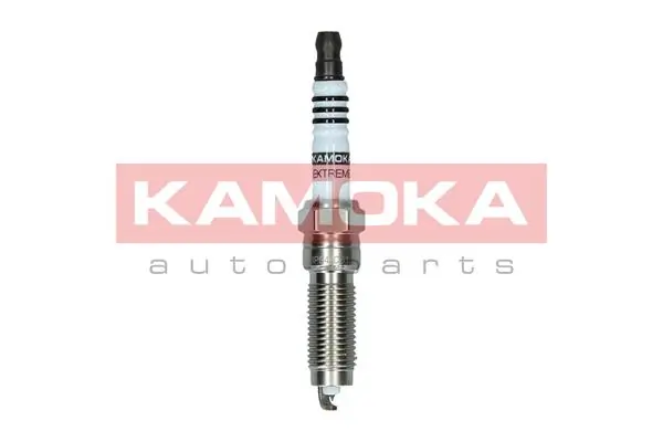 Spark Plug 7100067