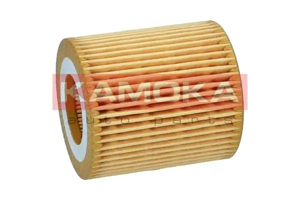 Oil Filter F125001