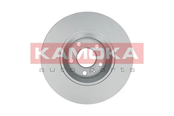 Brake Disc 1031019