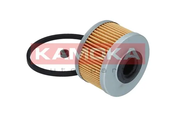 Fuel Filter F303101