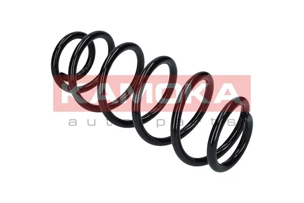 Suspension Spring 2110268