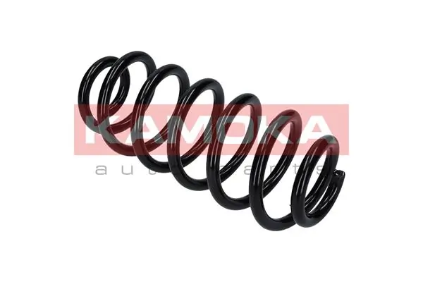 Suspension Spring 2120318