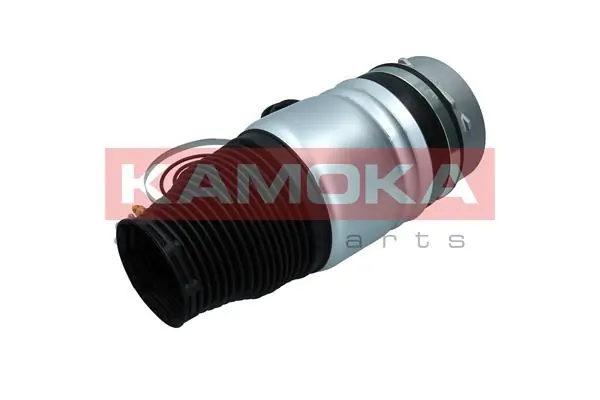 Luftfeder, Fahrwerk 2079008