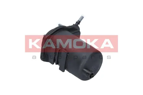 Fuel Filter F319301