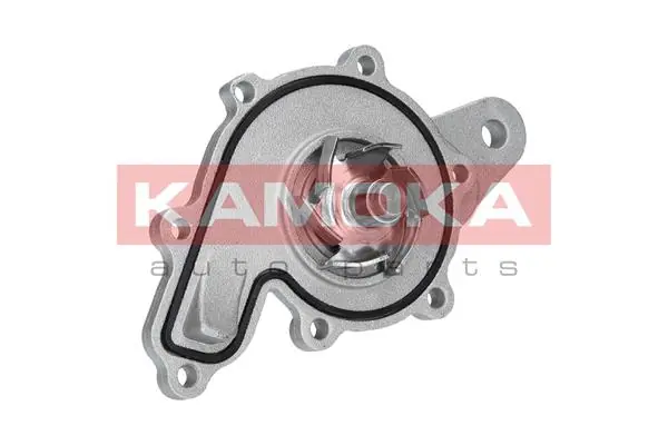 Water Pump, engine cooling T0259